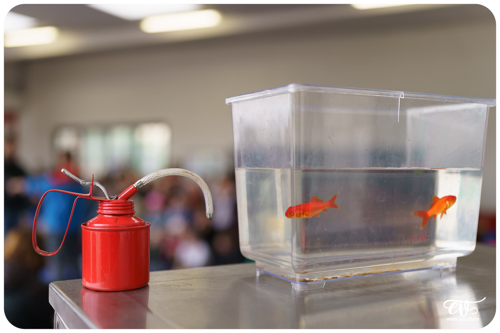 HUMOUR DES NOTES 2024